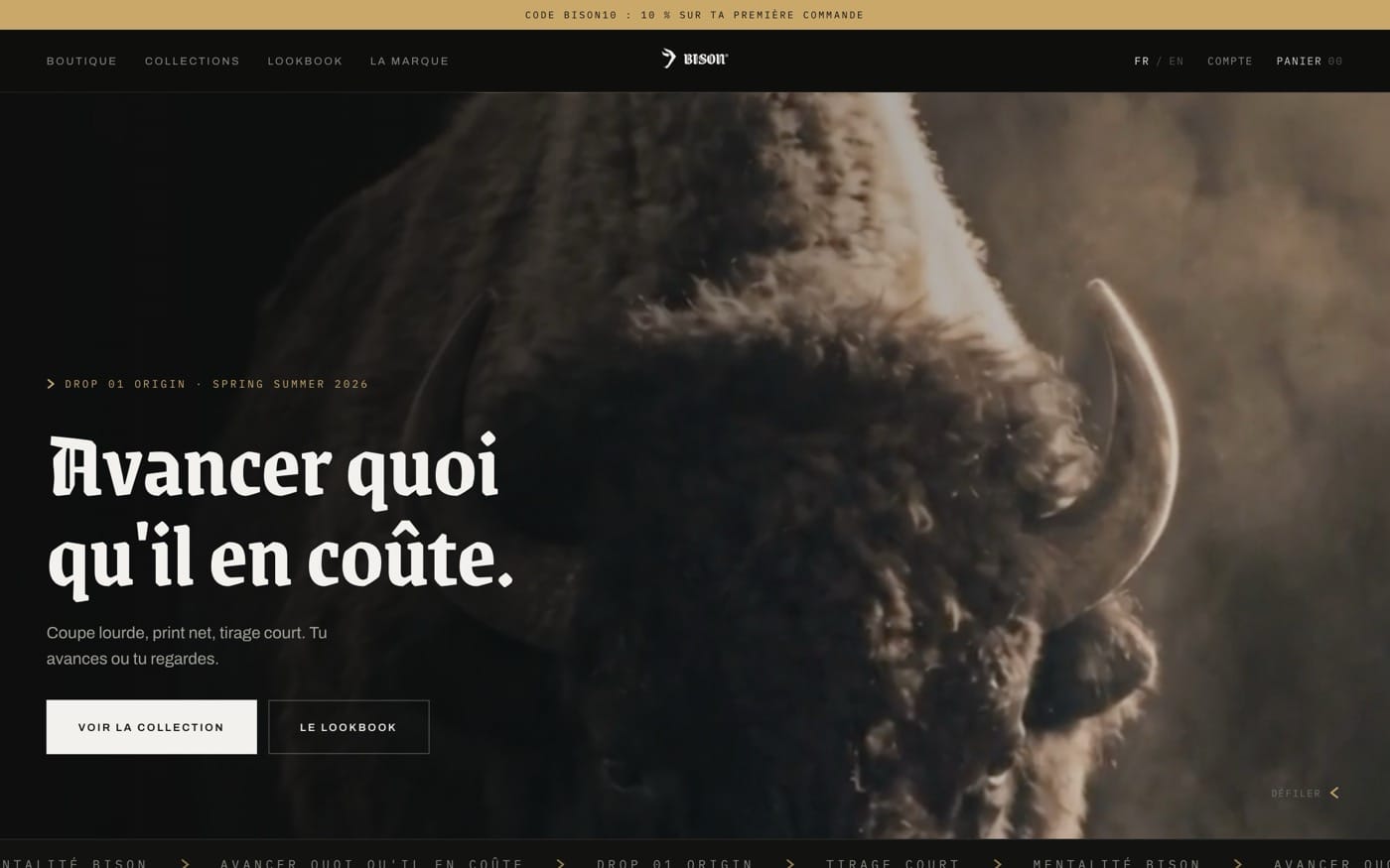 La page d'accueil du site BISON