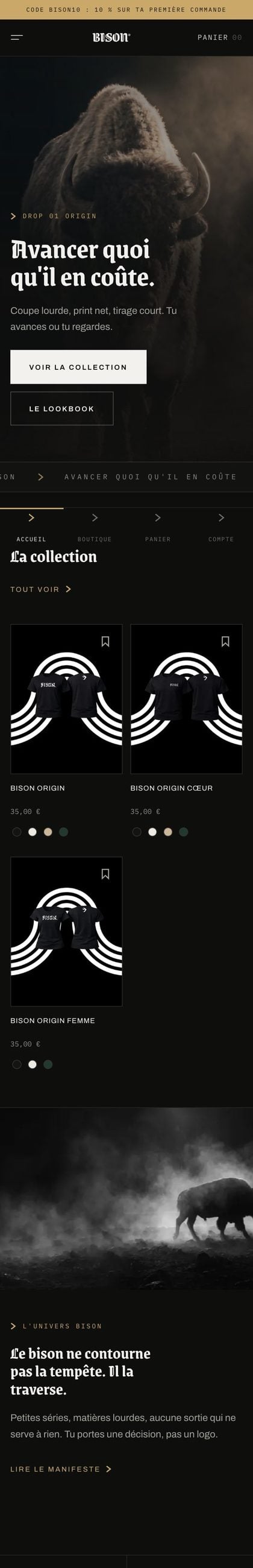 Le site BISON sur téléphone