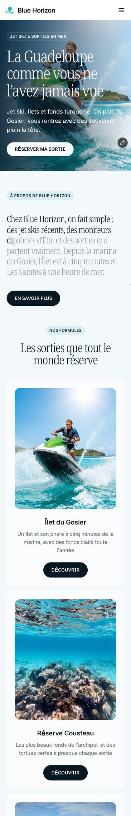 Le site Blue Horizon sur téléphone