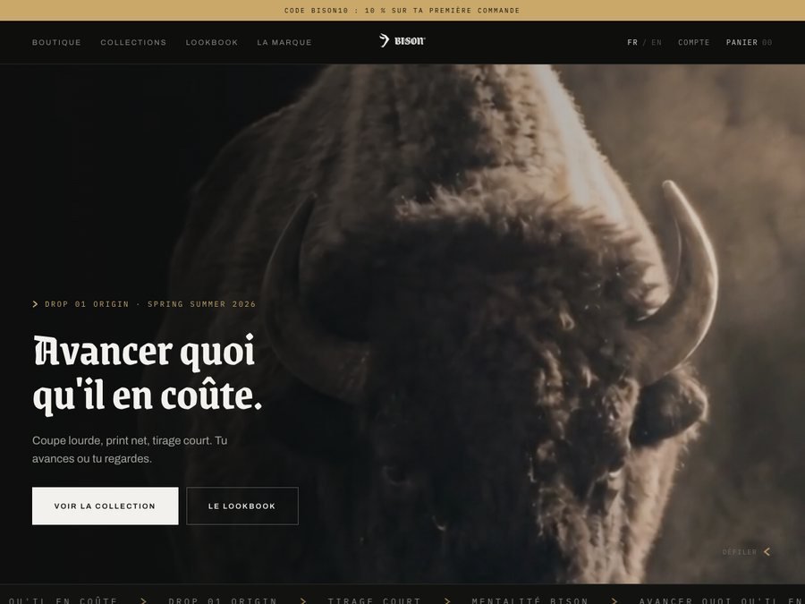 Aperçu du site BISON